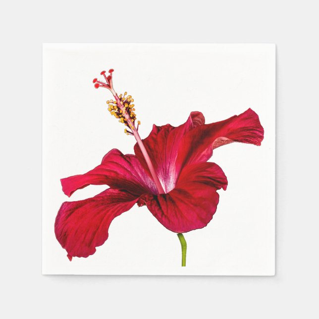 Red Hibiscus Flower Side View Paper Napkins (Front)