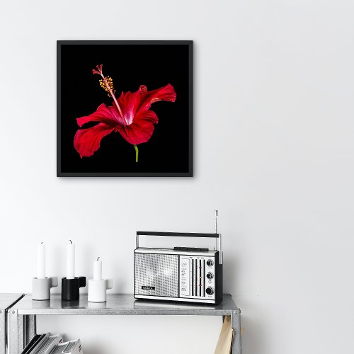 Red Hibiscus Flower Side View Small Poster