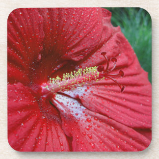 Red Hibiscus Flower With Raindrops Photo Coaster