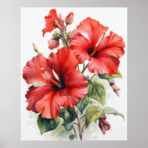 Red Hibiscus Flowers Art Print Poster