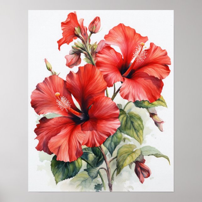 Red Hibiscus Flowers Art Print Poster (Front)
