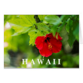 Red Hibiscus Hawaii Tropical Flower (Front Horizontal)