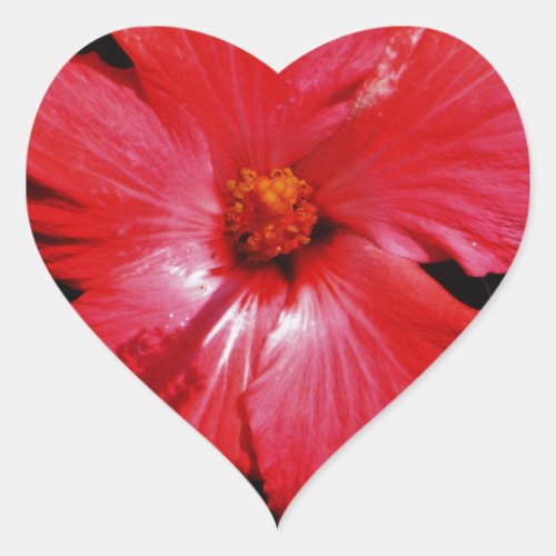 Red Hibiscus Heart Sticker