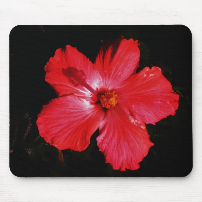 Red Hibiscus Mouse Pad (Front)
