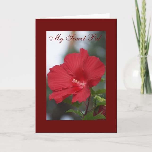 Red Hibiscus, My Secret Pal Card (Front)