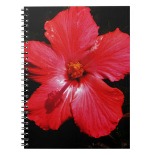 Red Hibiscus Notebook