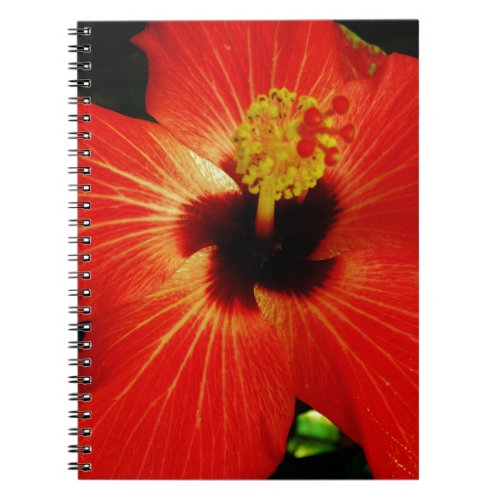 Red Hibiscus Notebook