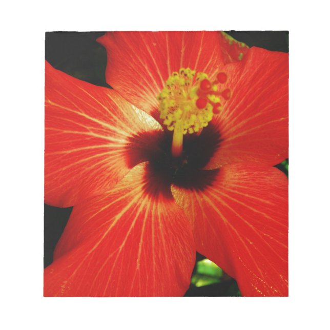 Red Hibiscus Notepad (Front)