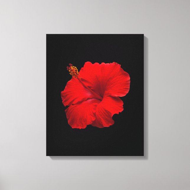 Red Hibiscus on Black - Customized Template Canvas Print (Front)