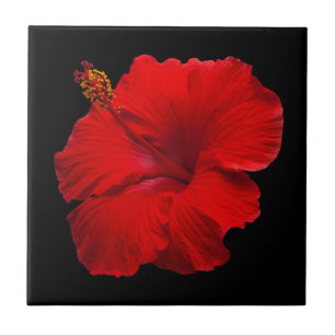 Red Hibiscus on Black - Customized Template Tile