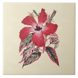 Red Hibiscus on Cream Tropical Tile 6x6