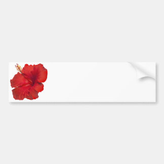 Red Hibiscus on White - Customized Template Bumper Sticker