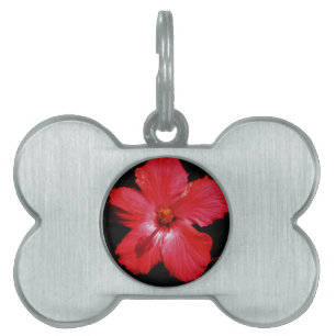 Red Hibiscus Pet ID Tag