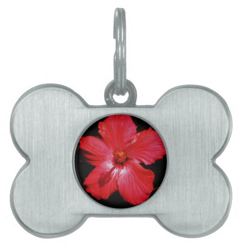 Red Hibiscus Pet ID Tag