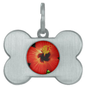 Red Hibiscus Pet Name Tag