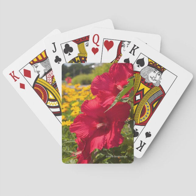 Red Hibiscus Poker Cards (Back)