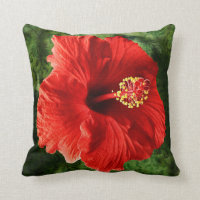 Red Hibiscus