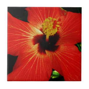 Red Hibiscus Tile