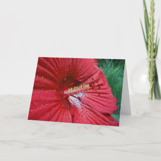 Red Hibiscus With Raindrops Card