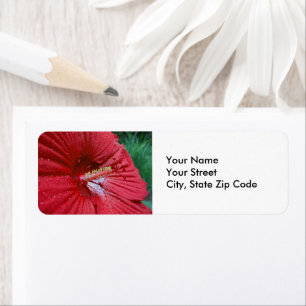 Red Hibiscus With Raindrops Flower Photo Label
