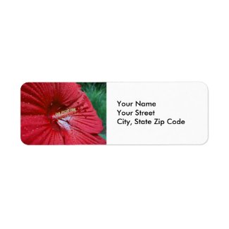 Red Hibiscus With Raindrops Flower Photo Label