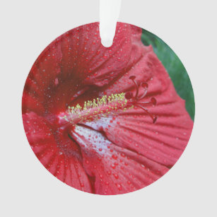 Red Hibiscus With Raindrops Ornament