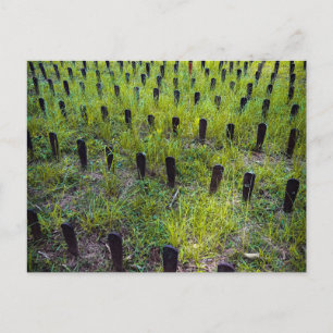 Red Hill Cemetery Rusty Grave Markers Postcard