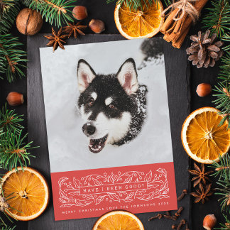 Red Holly Leaves Pet Photo Holiday Card