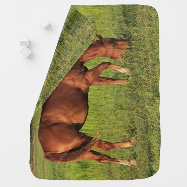 Red Horse Baby Blanket (In Situ)