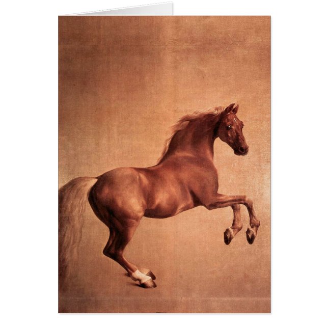 RED HORSE CARDS (Front)