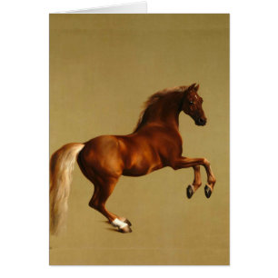 RED HORSE CARDS