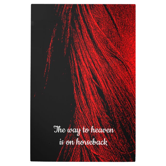 Red Horse Mane Abstract Metal Wall Art (Front)