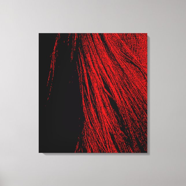 Red Horse Mane Abstract Stretched Canvas Print (Front)