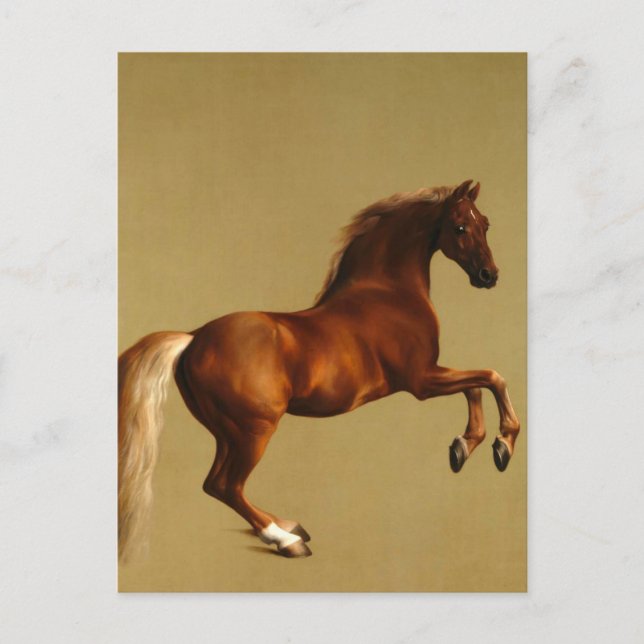 RED HORSE POSTCARD (Front)