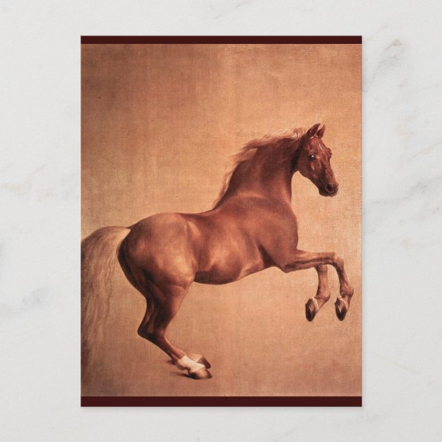 RED HORSE POSTCARD (Front)