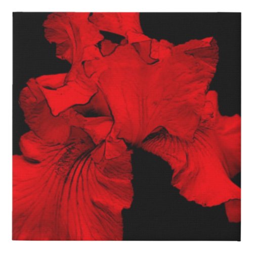 Red Hot Bearded Iris Flower Abstract   Faux Canvas Print