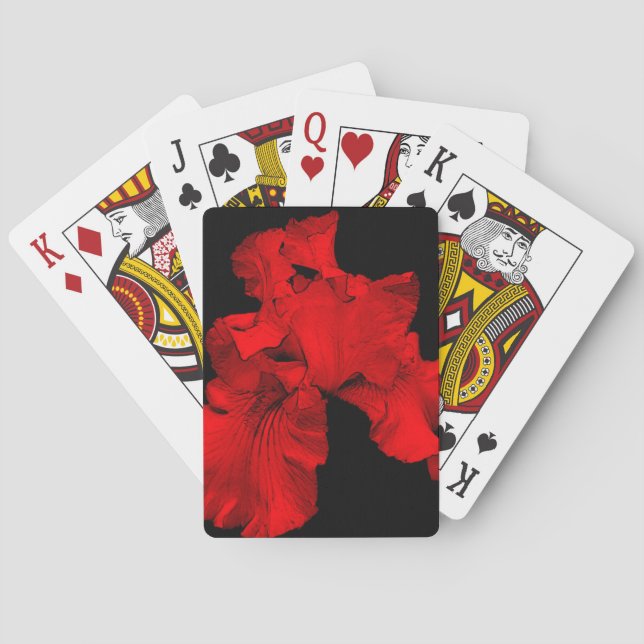 Red Hot Bearded Iris Flower  Poker Cards (Back)