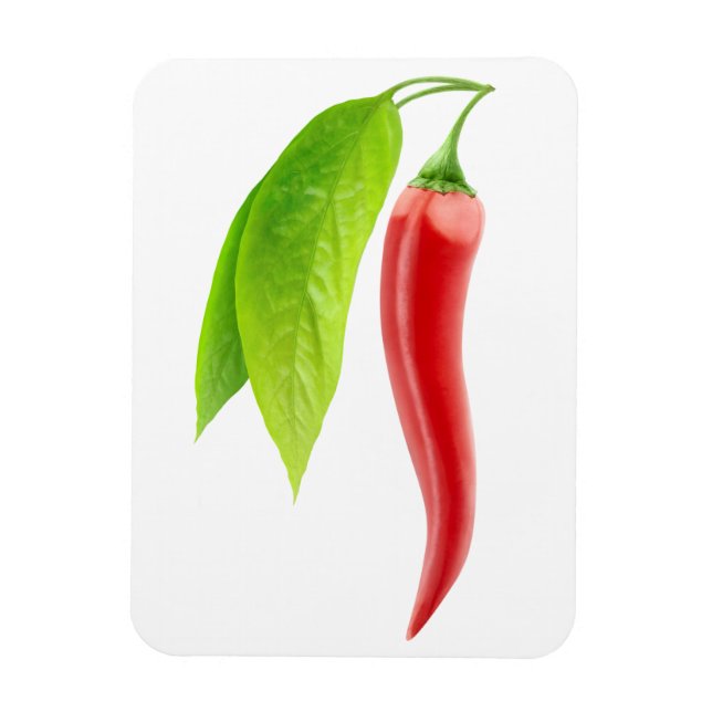 Red hot chili pepper magnet (Vertical)