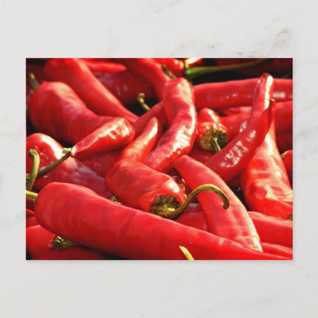 Red hot Chili Postcard (Front)