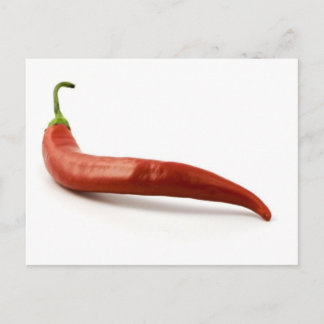 Red Hot Chilli Pepper On White Background Postcard