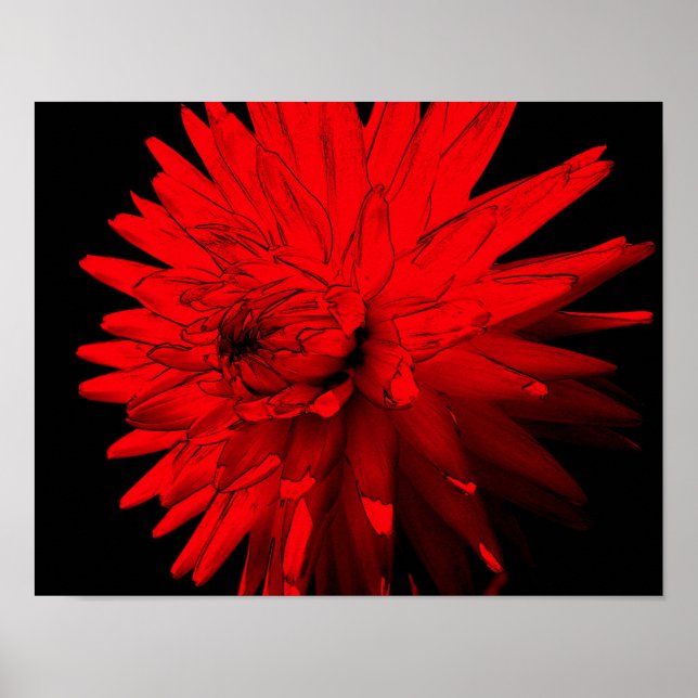 Red Hot Dahlia Abstract Flower Art Poster (Front)