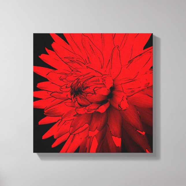 Red Hot Dahlia Flower Abstract Art Canvas Print (Front)