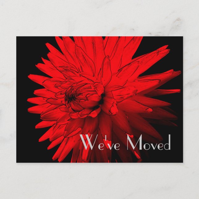 Red Hot Dahlia New Address Floral Art Postcard (Front)