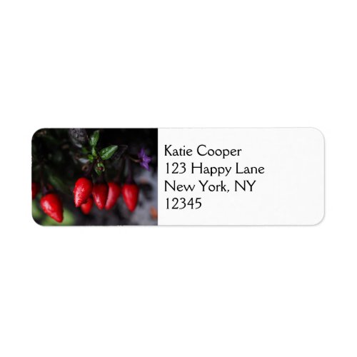 Red Hot Garden Salsa Chili Peppers Label