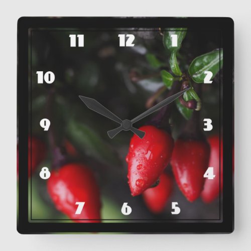 Red Hot Garden Salsa Chili Peppers Square Wall Clock