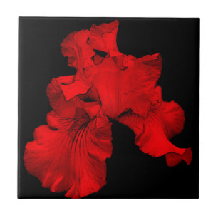 Red Hot Iris Floral Art Tile