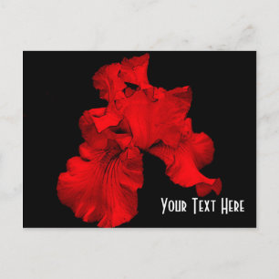 Red Hot Iris Floral Customizable Postcard