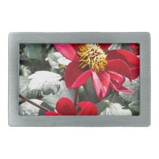 red hot pink daisy / daisies flowers belt buckle