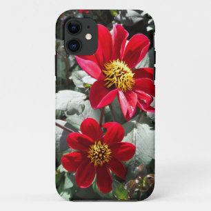 red hot pink daisy / daisies flowers iPhone 11 case