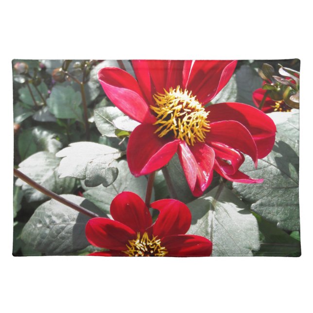 red hot pink daisy / daisies flowers cloth placemat (Front)